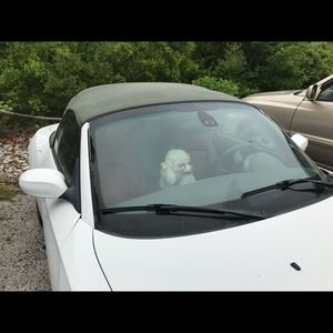 Meet your Posher, Larry